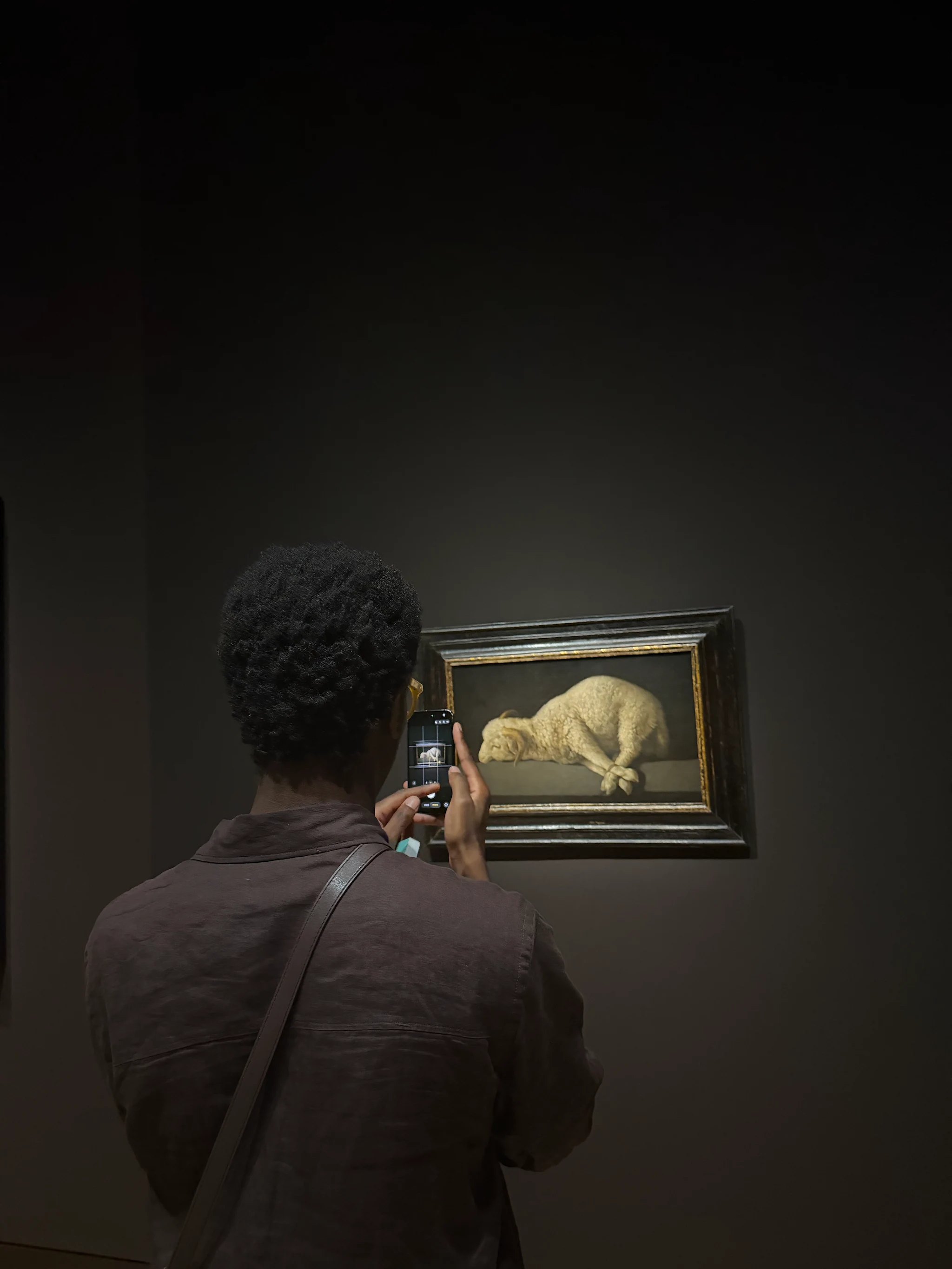 A person seen from behind in a darkened gallery, holding up a phone to photograph Zurbarán’s Agnus Dei, the small painting of a bound white lamb appearing brightly lit on the screen and on the wall beyond.