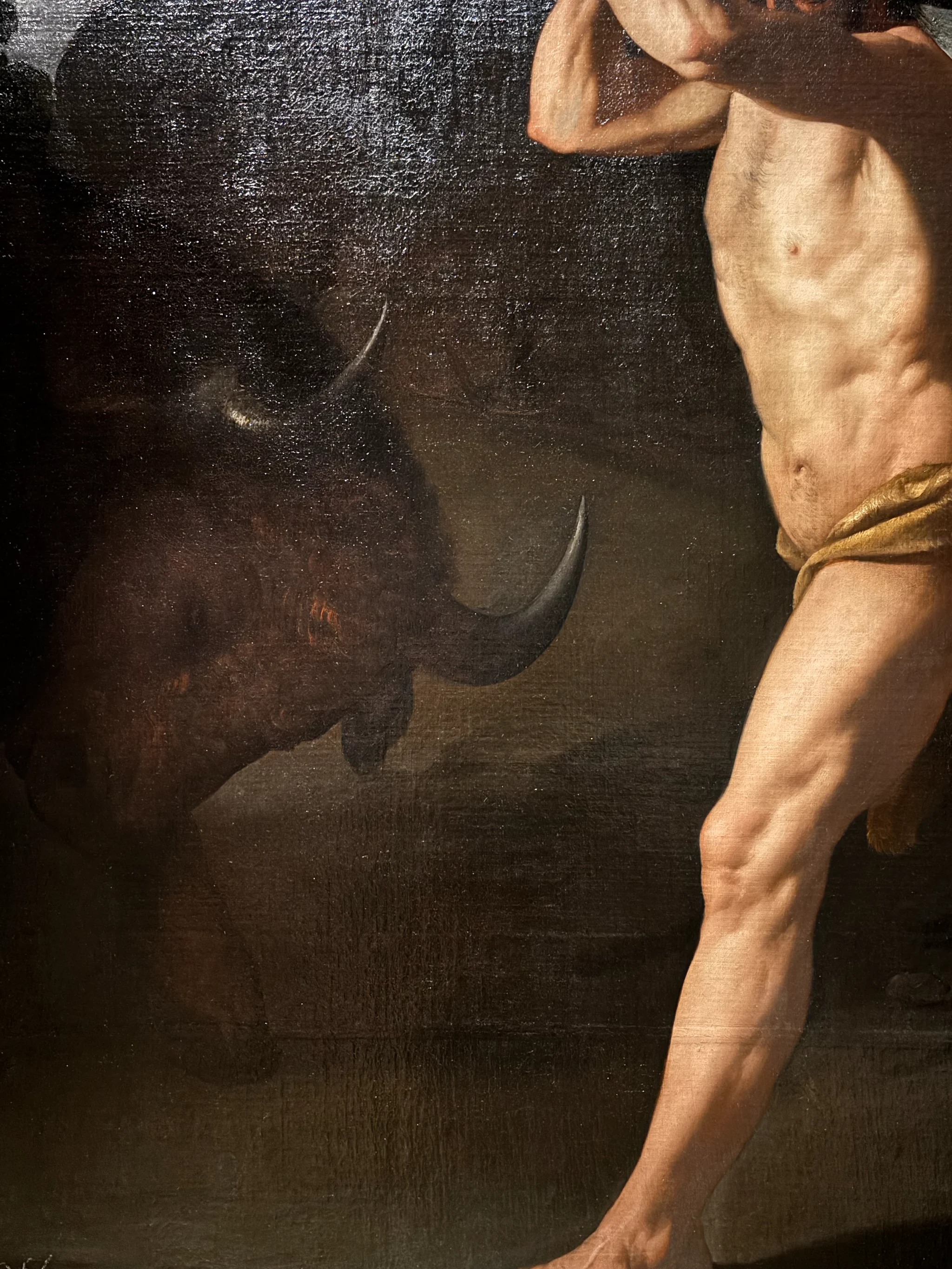 A close view of Hercules and the Cretan Bull: the dark bull lowers its head at left, one pale horn catching the light, while the brightly lit torso and braced leg of Hercules fill the right of the frame, the weave of the canvas visible in the sheen.