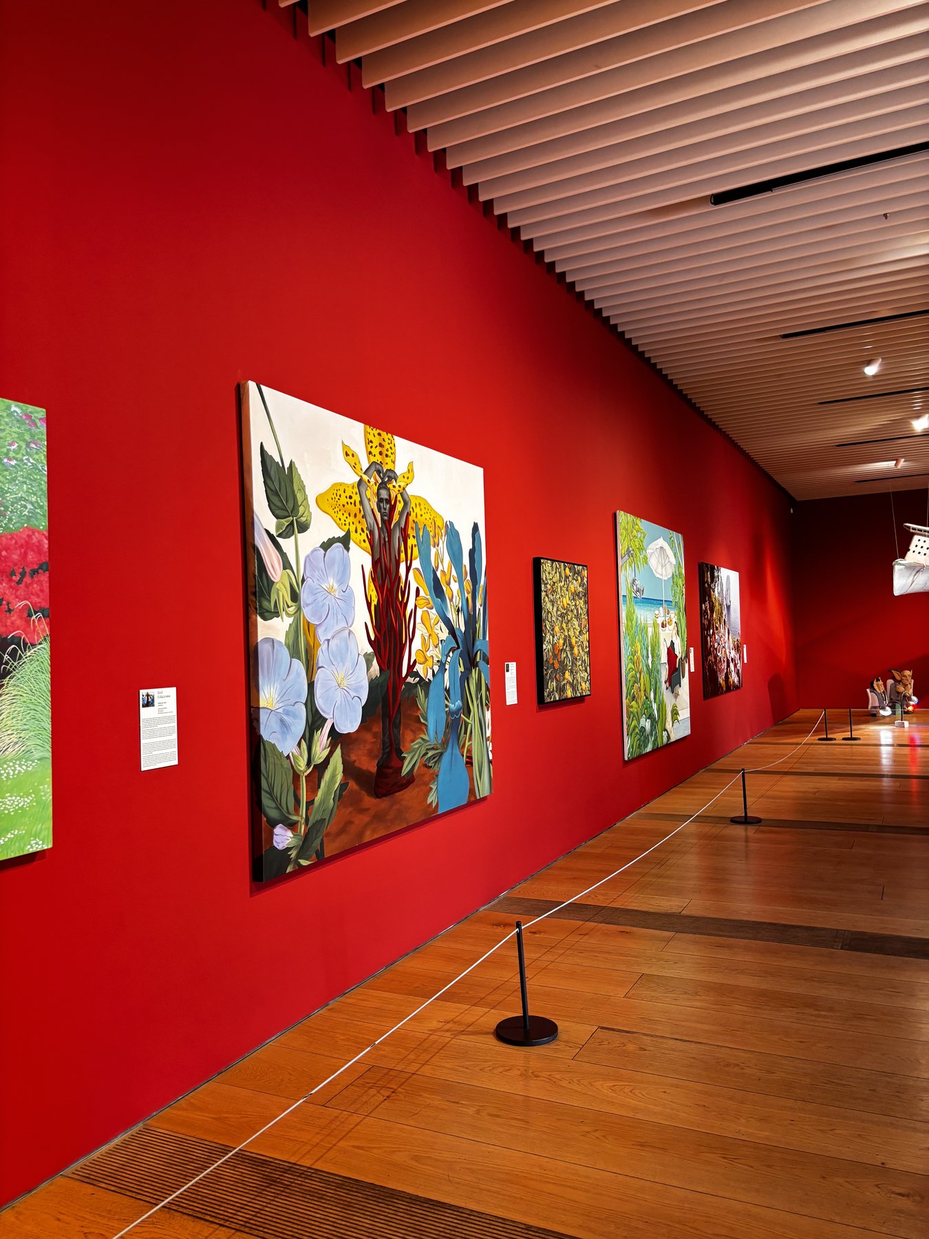A gallery corridor with a deep red wall beneath a slatted timber ceiling, hung with a row of paintings, the largest showing white flowers and a yellow spotted lily against a pale ground, with a wooden floor and a low barrier rope in front.